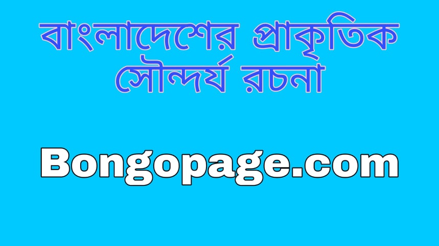 বাংলাদেশের প্রাকৃতিক সৌন্দর্য রচনা