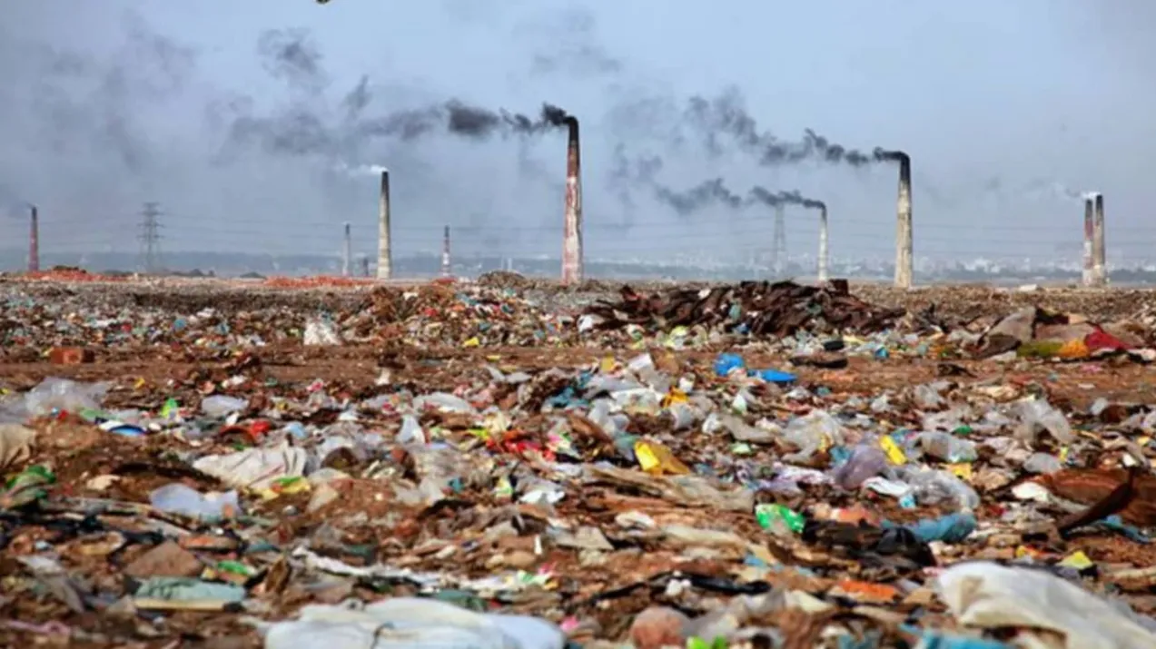 Paragraphs and Environmental Pollution for HSC