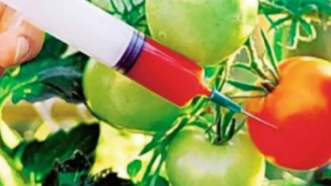 Food Adulteration Paragraph SSC/HSC