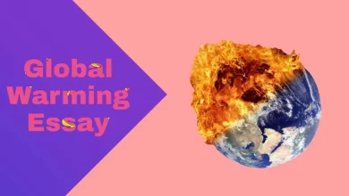 Essay On Global Warming in English 