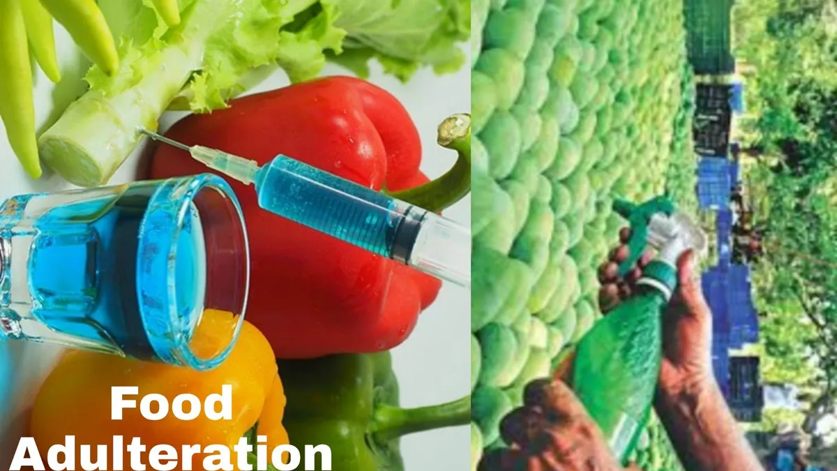 Food Adulteration paragraph for HSC