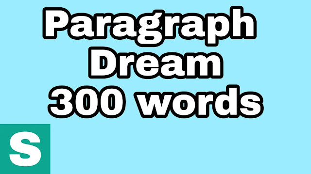 Paragraph Dream 300 words